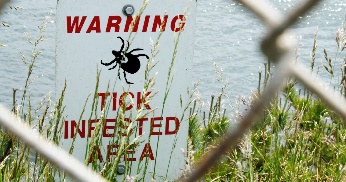 Ticks carrying Lyme disease confirmed in 9 national parks - CBS News