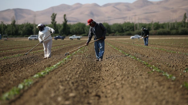 california-drought-farmers.jpg 