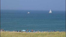 provincetown-vazquez-sailboats.jpg 