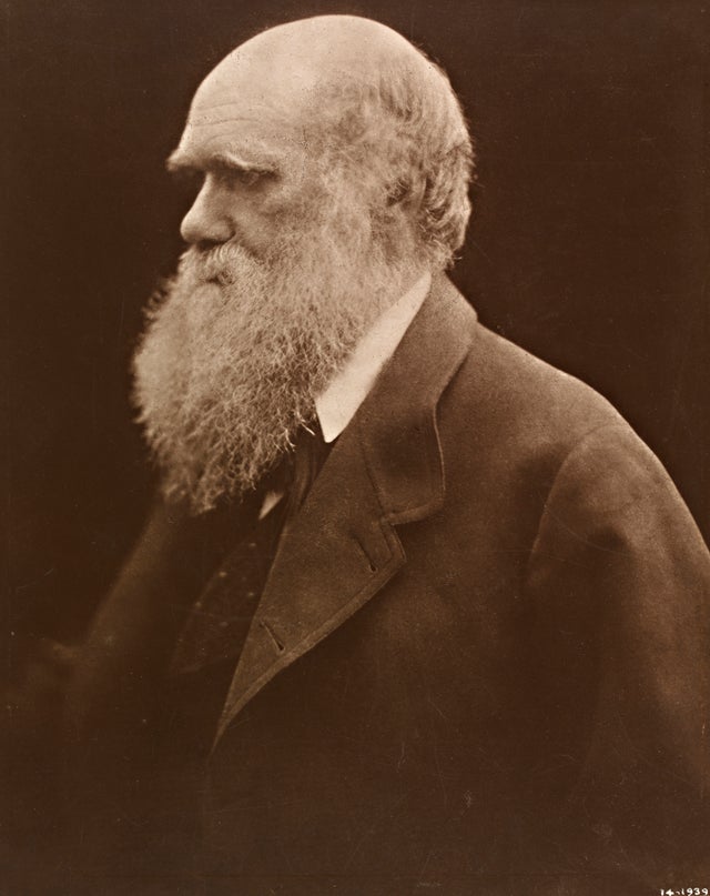 charles-darwin-julia-margaret-cameron-1868-printed-1875-c-victoria-and-albert-museum-london.jpg
