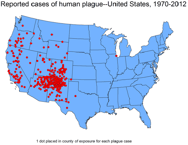cdc-plague-map.png 