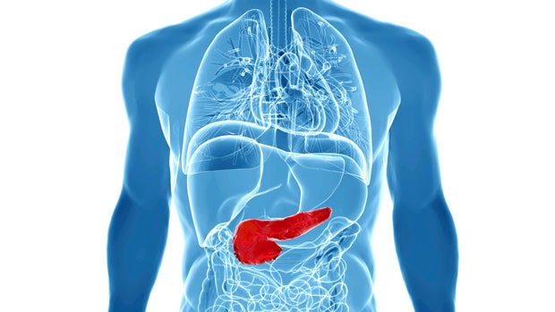 pancreas.jpg 