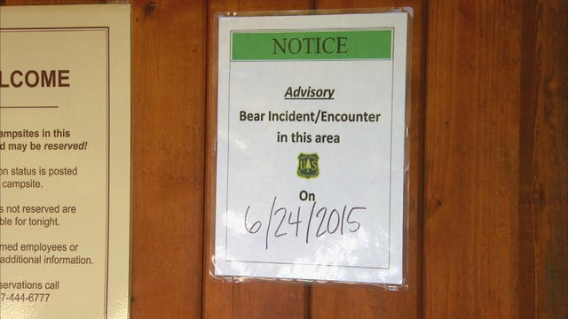 ruedi-campground-bear-sign.jpg 