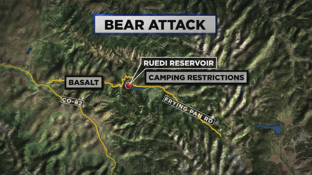 bear attack map 