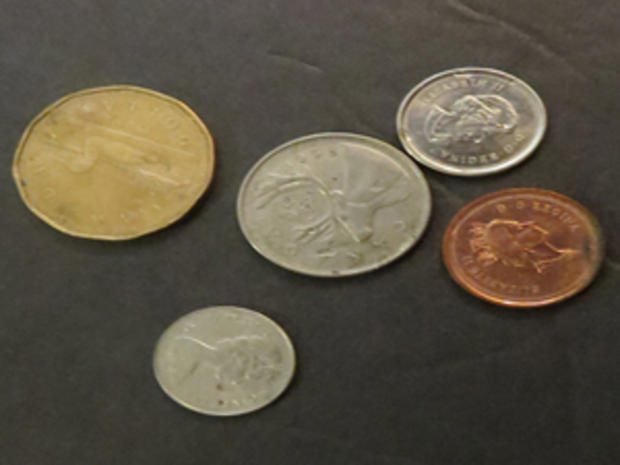 Canadian Coins (credit: Randy Yagi) 