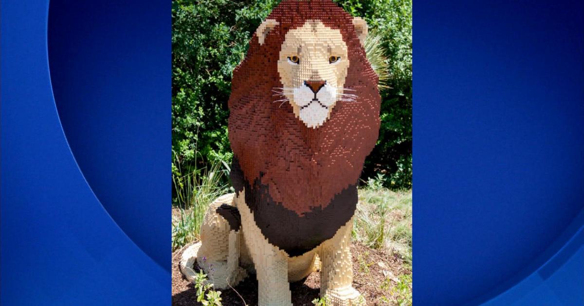 Guess How Many Legos It Took To Build Leo At Denver Zoo And Win A Tour -  CBS Colorado