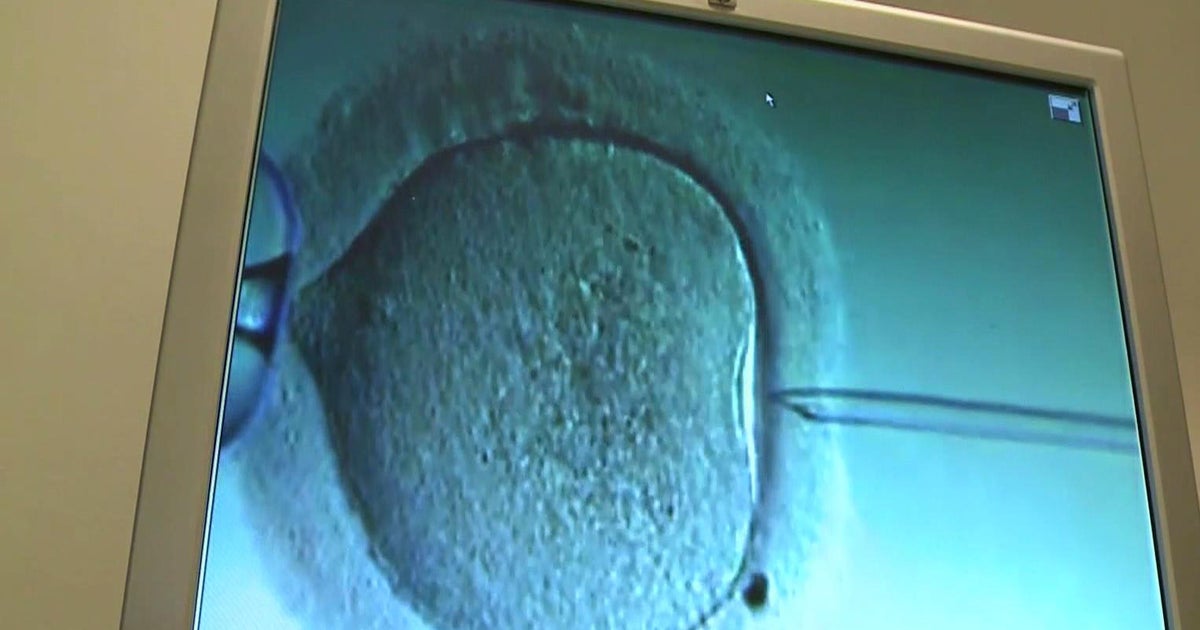 Excouples enter unusual court fight over frozen embryos CBS News