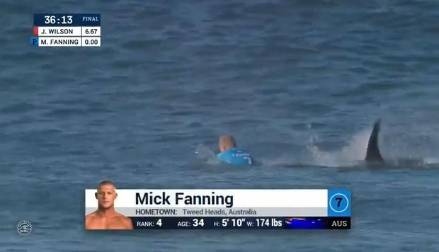 shark fight surfing Mick Fanning 