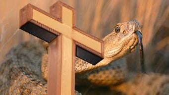 churchsnakerszsnake1.jpg 
