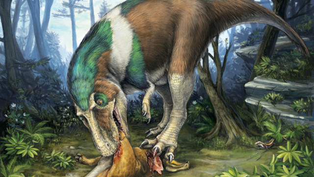 gorgosaurus-dinosaur-teeth.jpg 