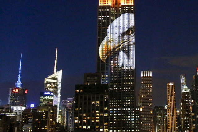 Endangered animals take over the Empire State Building