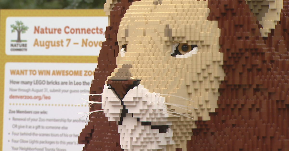 LEGO Animals Join Wild Animals At Denver Zoo - CBS Colorado