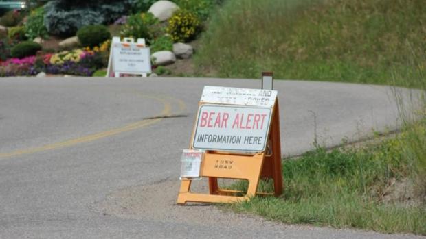 CAMPGROUND BEARS black bear alert 