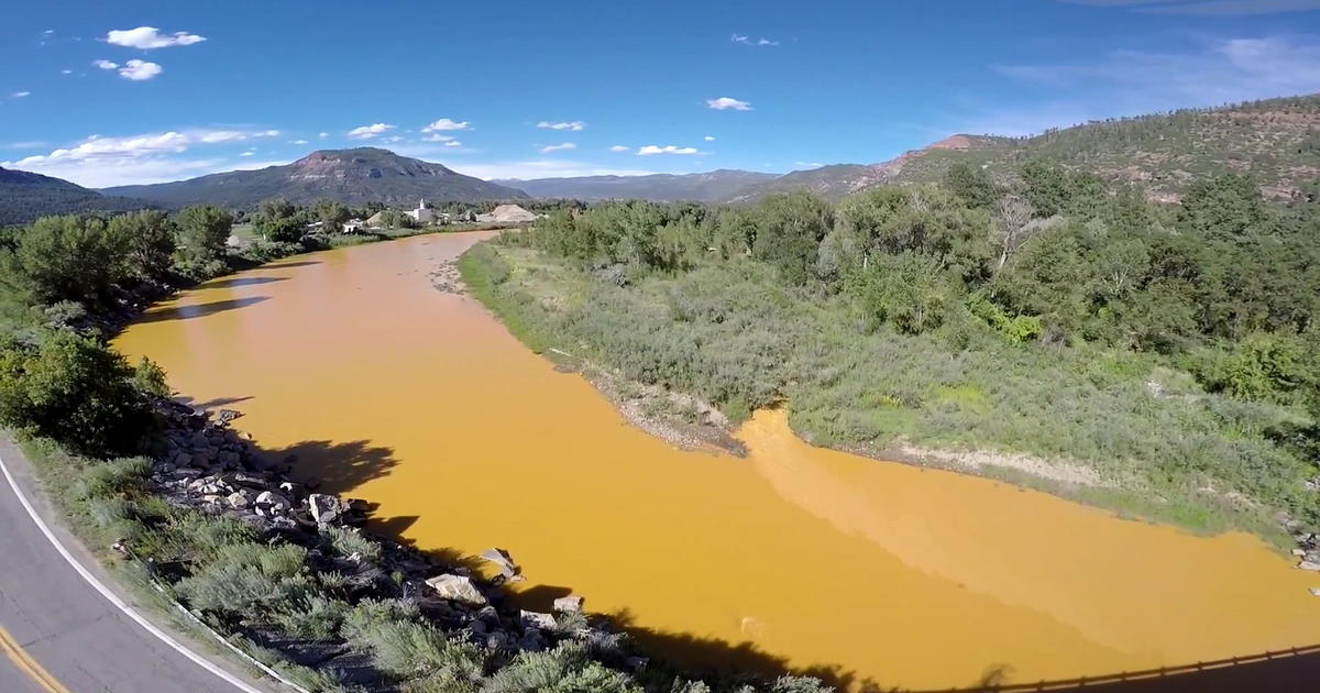 Gold-digging bacteria could be high-tech miners - CBS News