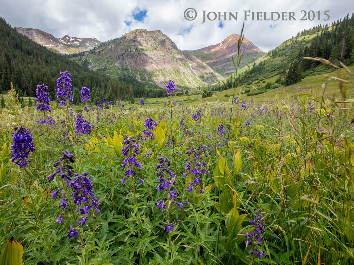 john-fielder-crested-butte-co-2015-6.jpg 