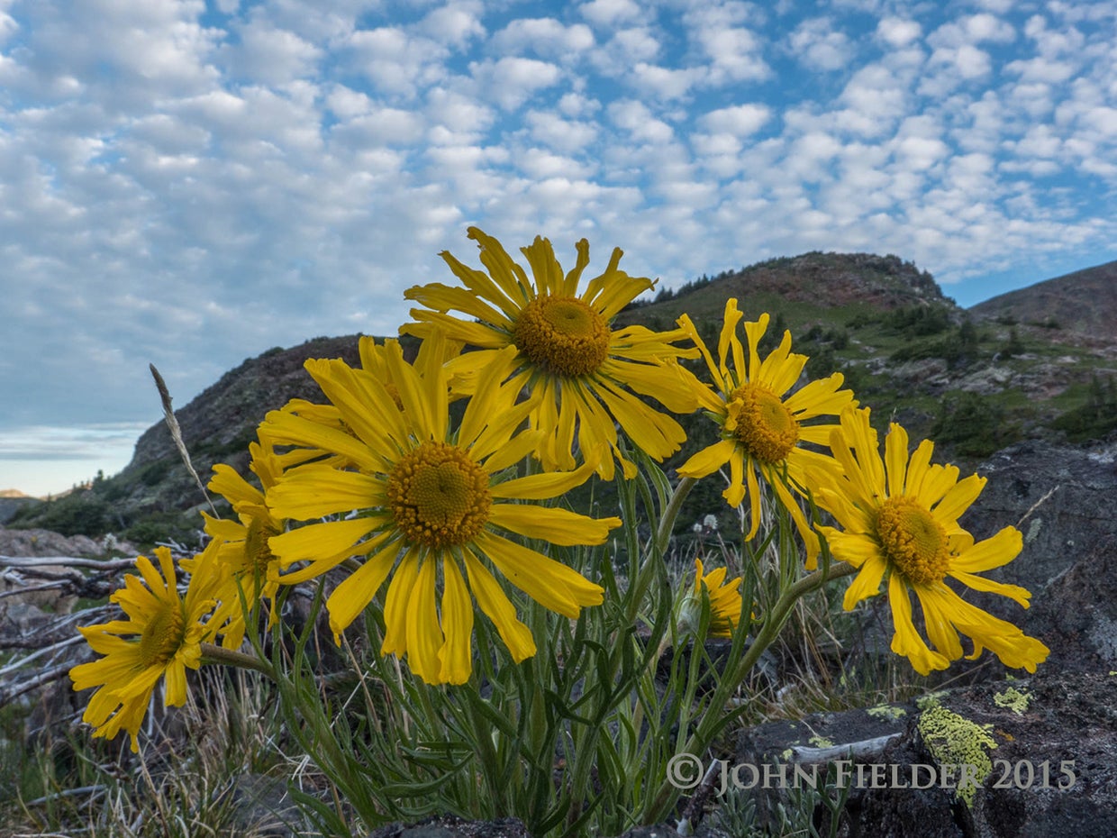 john-fielder-crested-butte-co-2015-10.jpg 