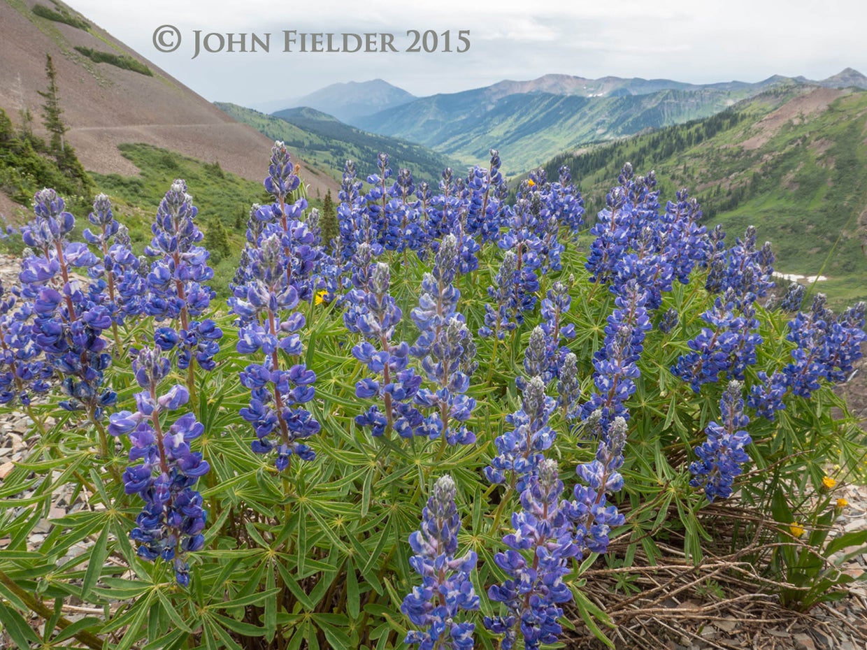 john-fielder-crested-butte-co-2015-12.jpg 