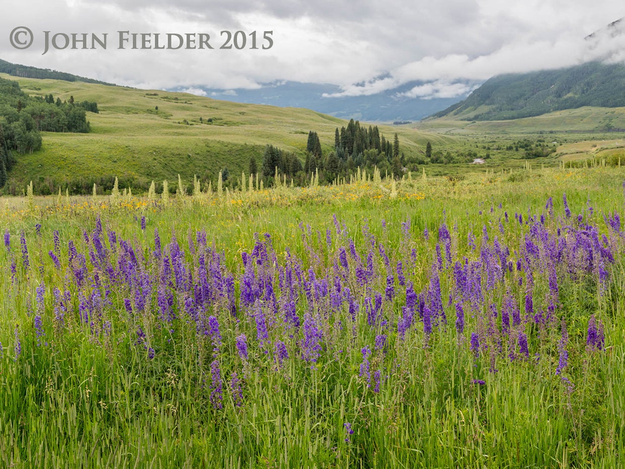 john-fielder-crested-butte-co-2015-5.jpg 