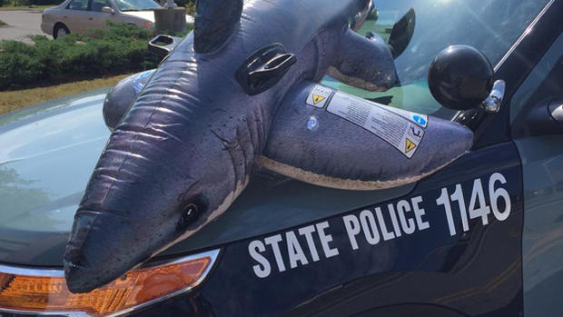 State Police Shark 