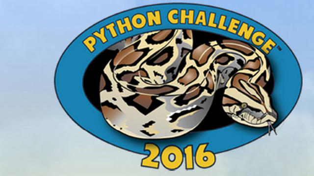 python-challenge-2016.jpg 