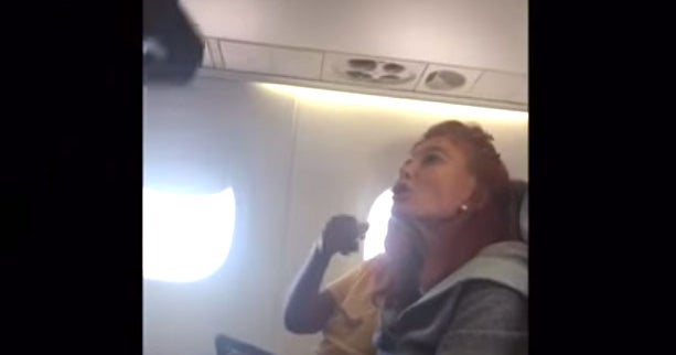 Caught on tape: Woman kicked off flight for not putting dog in carrier ...