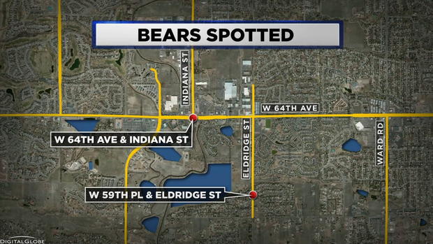 Bears Spotted MAP 
