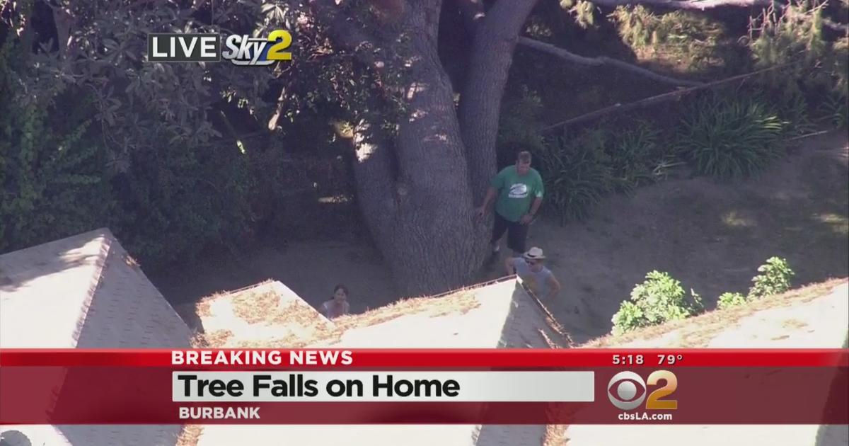 Massive Tree Topples Onto Home In Burbank Cbs Los Angeles