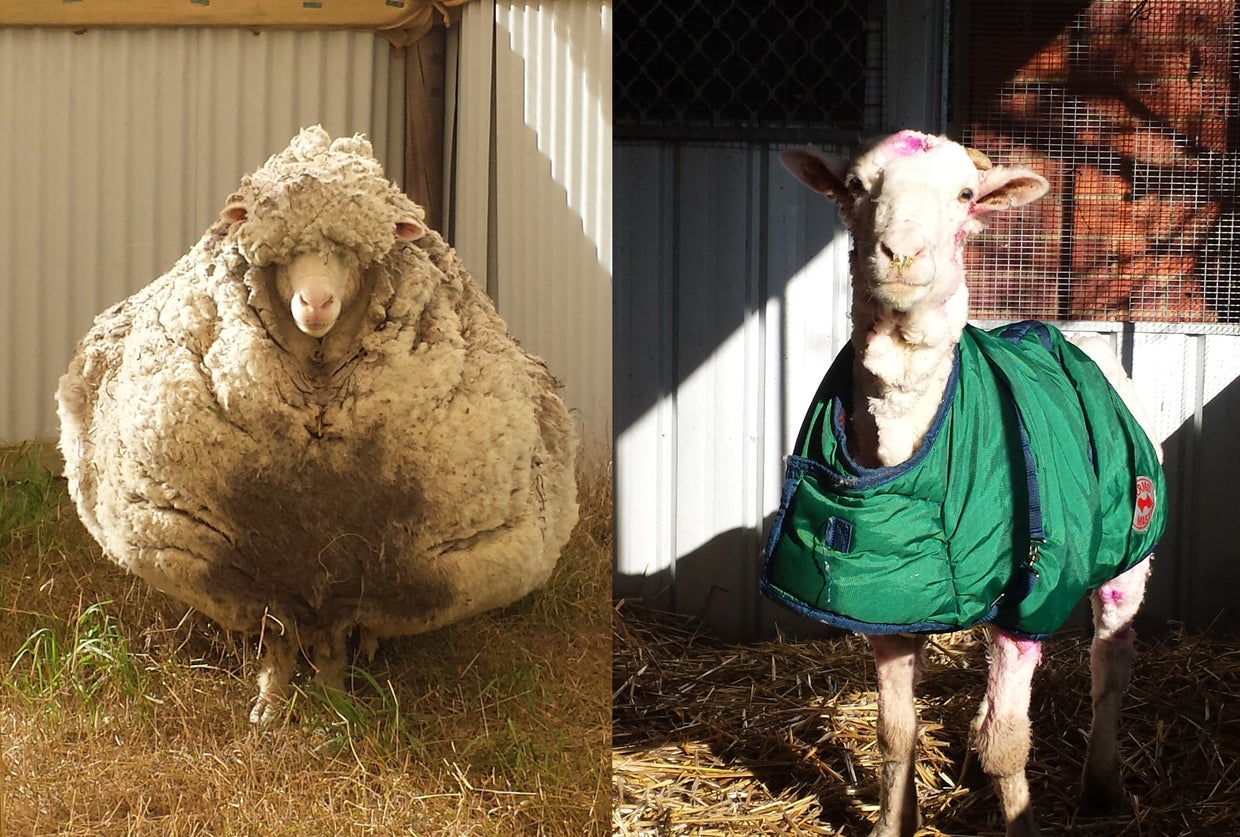 chris-before-and-after.jpg 