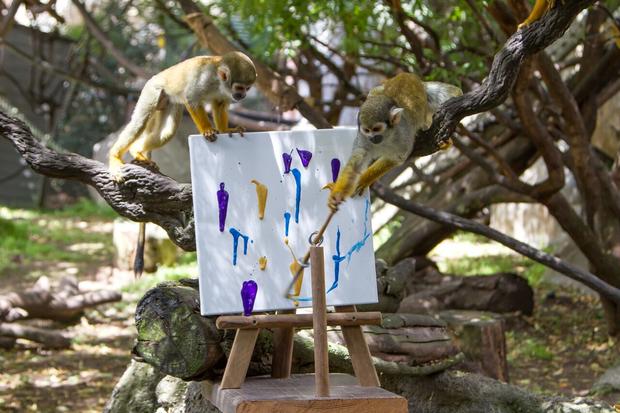 monkeys paint 