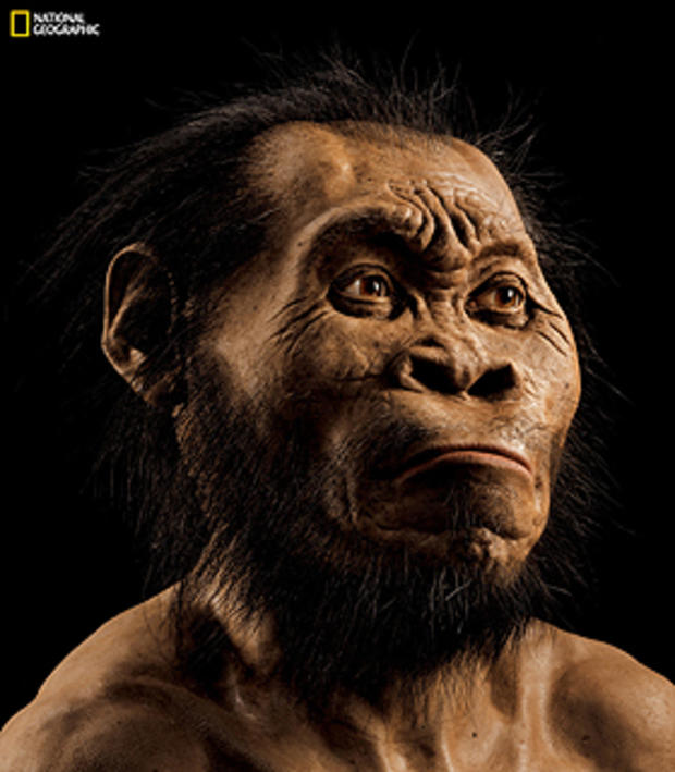 This March 2015 photo provided by National Geographic from their October 2015 issue shows a reconstruction of Homo naledi's face by paleoartist John Gurche at his studio in Trumansburg, N.Y. Scientists say fossils found deep in a South African cave reveal 