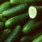 Cucumbers recalled in 14 states due to salmonella risk