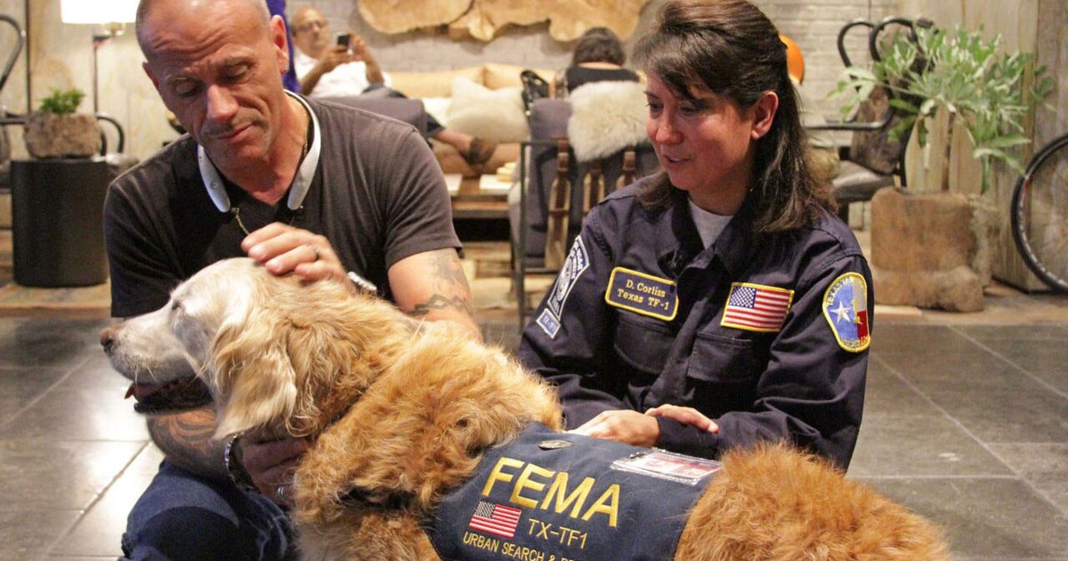 Last surviving 9/11 rescue dog honored with birthday celebration - CBS News