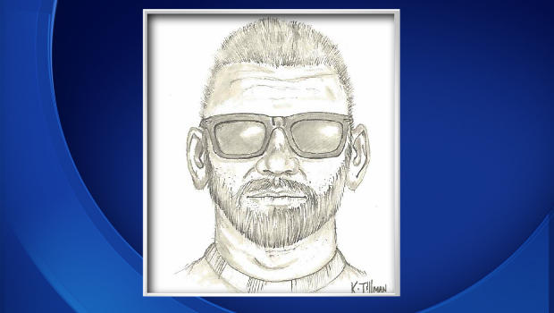 Attempted abduction suspect sketch 