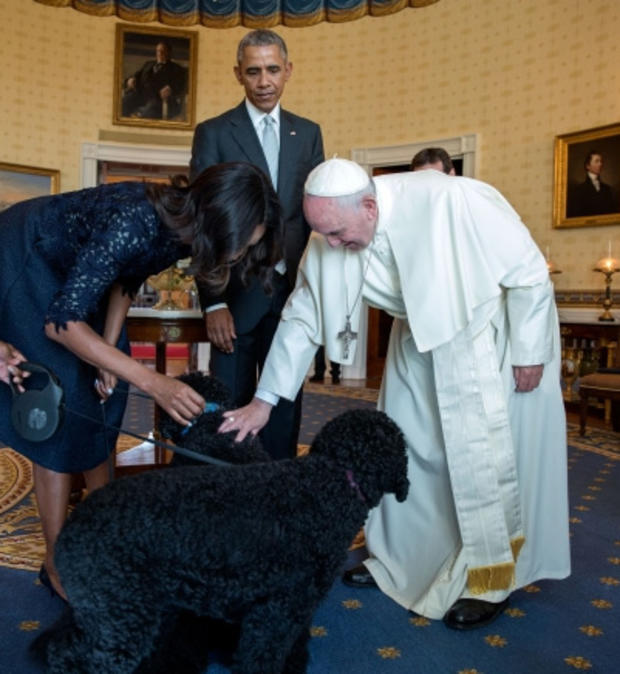 pope_francis_dogs.jpg 