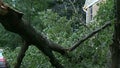 ctmweather614120x90.jpg 
