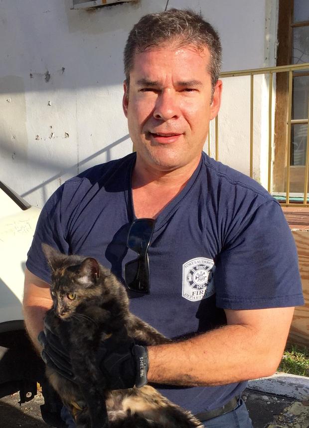 Kitten Pulled From Car In Fort Lauderdale 10/1/15 