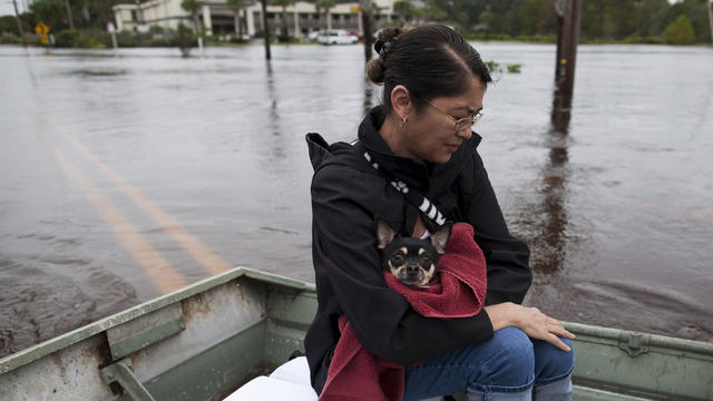 flooddog2015-10-06t150857z1666337296gf10000234148rtrmadp3usa-weather-floods.jpg 