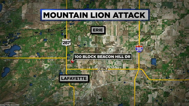 mountain-lion-attack-map.jpg 