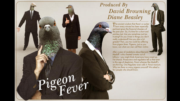 pigeonformatted.jpg 