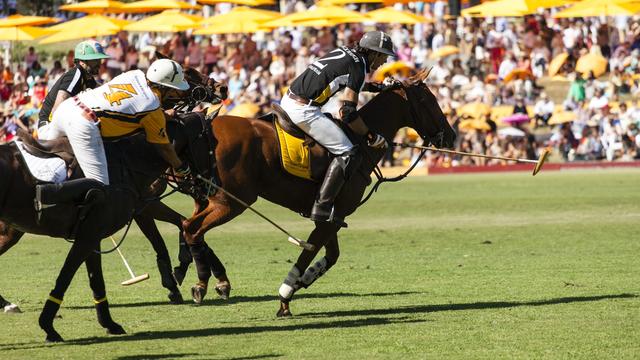 veuveclicquotpoloclassic.jpg 