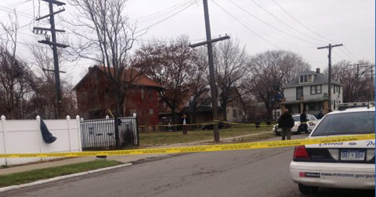 Pack of pit bulls maul, kill 4-year-old boy in Detroit - CBS News