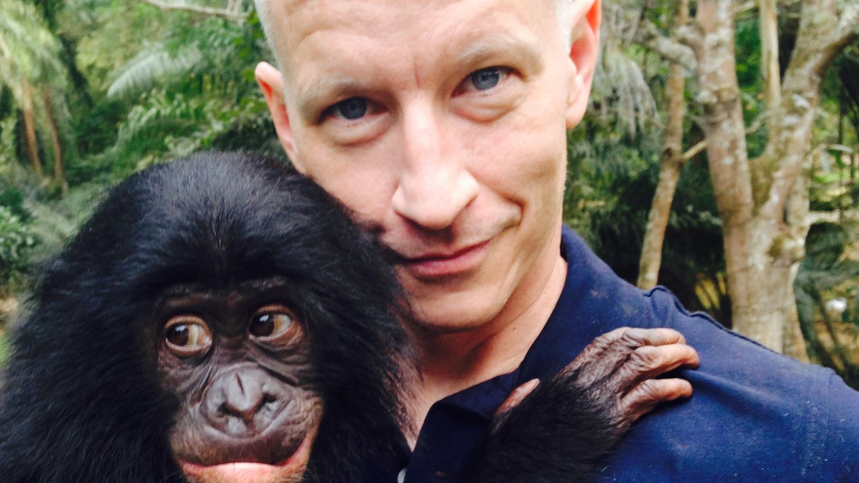 bonobo.jpg 