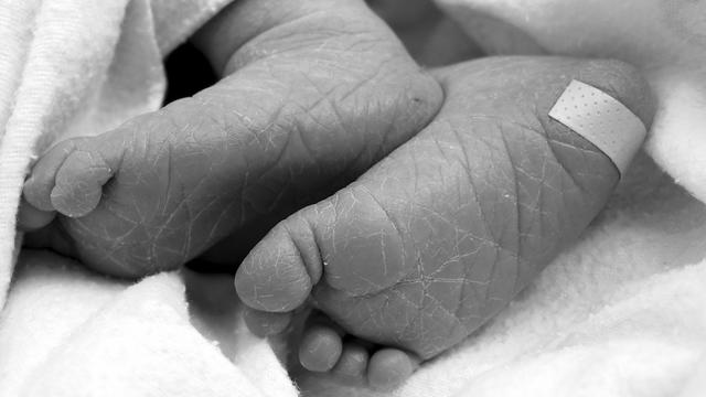 newborn-baby-feet.jpg 