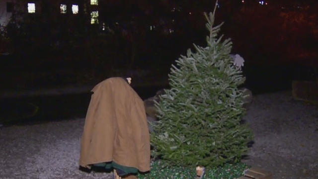 christmas-tree-for-homeless.jpg 