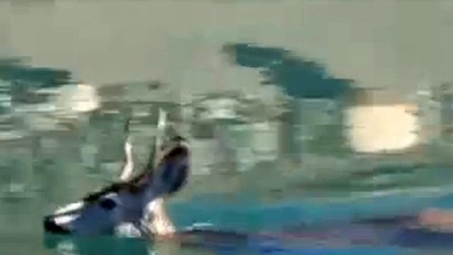 9486772g.jpg 
