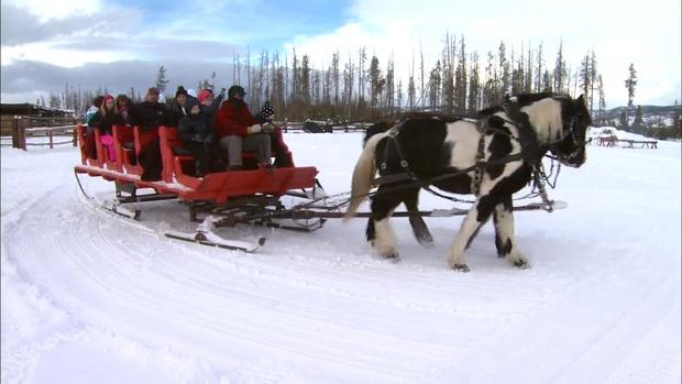 Dashing Thru The Snow sleigh rides 