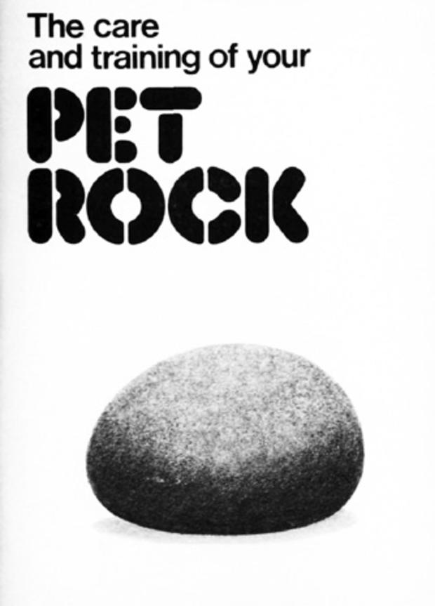 pet-rock-owners-manual-465.jpg 