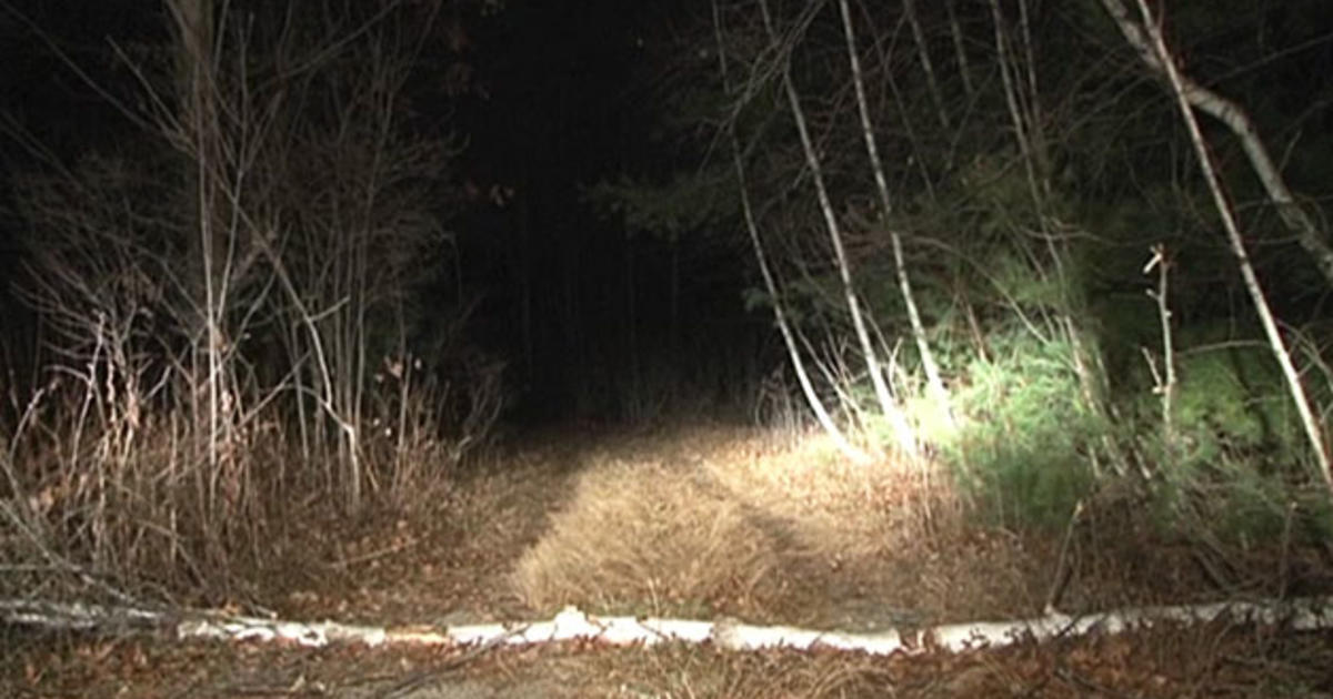 Human Skeletal Remains Found In Upton Woods By Hunter Police Say Cbs Boston 