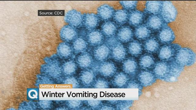 winter-vomiting-disease.jpg 