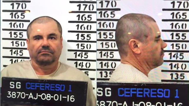 elchapo-mugshot.jpg 